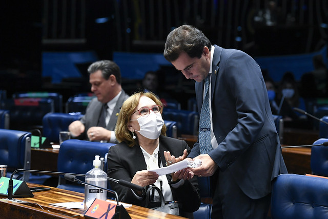 Zenaide Maia