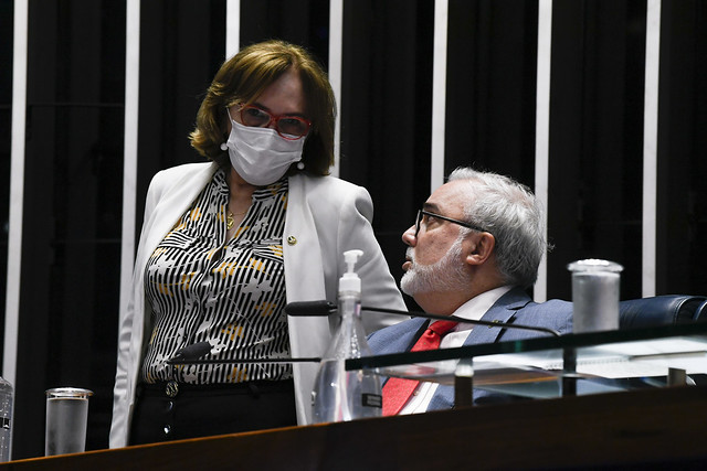 Zenaide Maia
