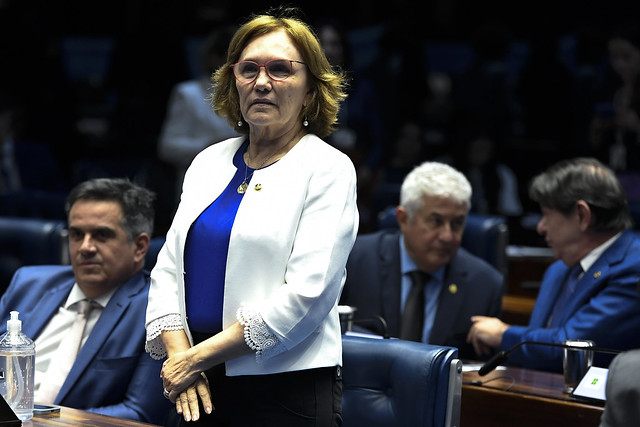 Zenaide Maia