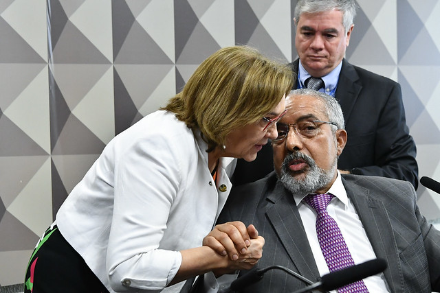 Zenaide Maia